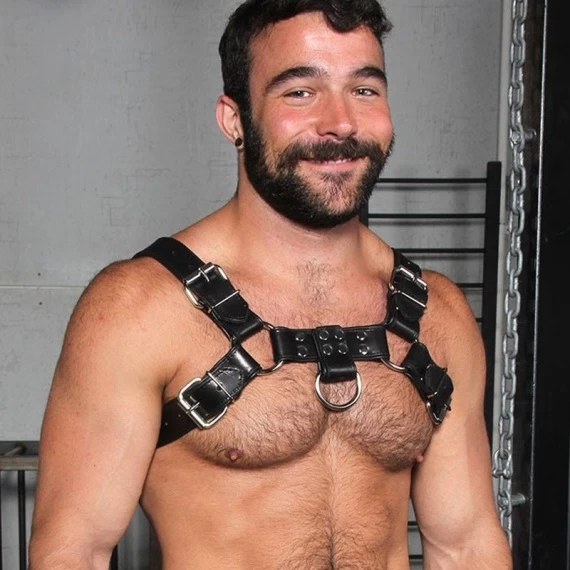 Harnais Bulldog 2.0 Noir – Image 3