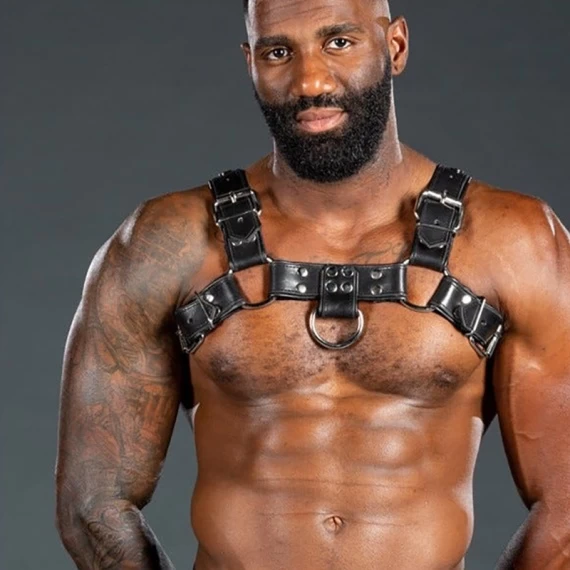 Harnais Bulldog 2.0 Noir – Image 6