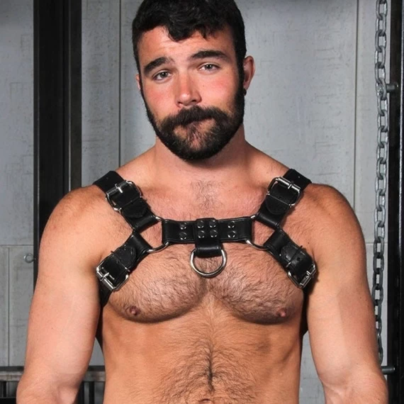 Harnais Bulldog 2.0 Noir