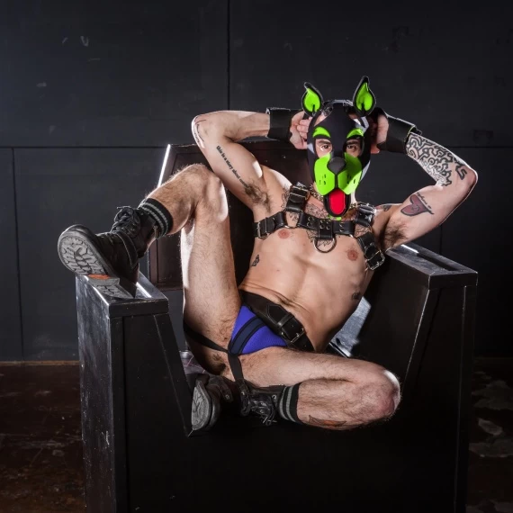 Head Harness NEO WOOF Blanc – Image 18