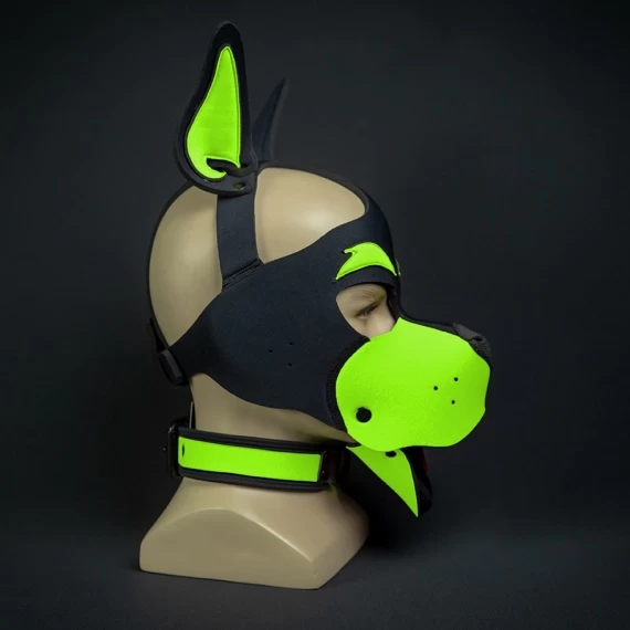 Head Harness NEO WOOF Blanc – Image 19