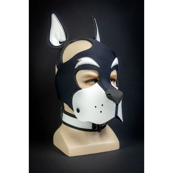 Head Harness NEO WOOF Blanc