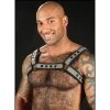 Neo Bold Bulldog Harness Gris