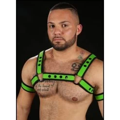 Neo Bold Bulldog Harness Lime