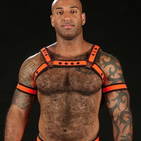 Neo Bold Bulldog Harness Orange – Image 3