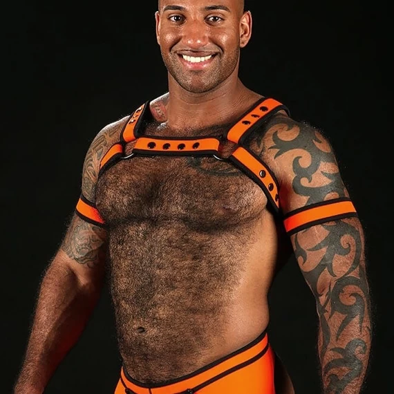 Neo Bold Bulldog Harness Orange