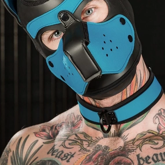 Neo Bold Puppy Collar Aqua – Image 2