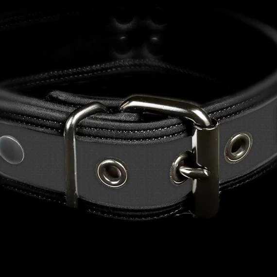 Neo Bold Puppy Collar Gris – Image 2