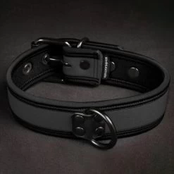 Neo Bold Puppy Collar Gris