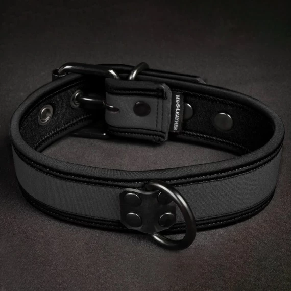 Neo Bold Puppy Collar Gris