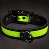 Neo Bold Puppy Collar Lime