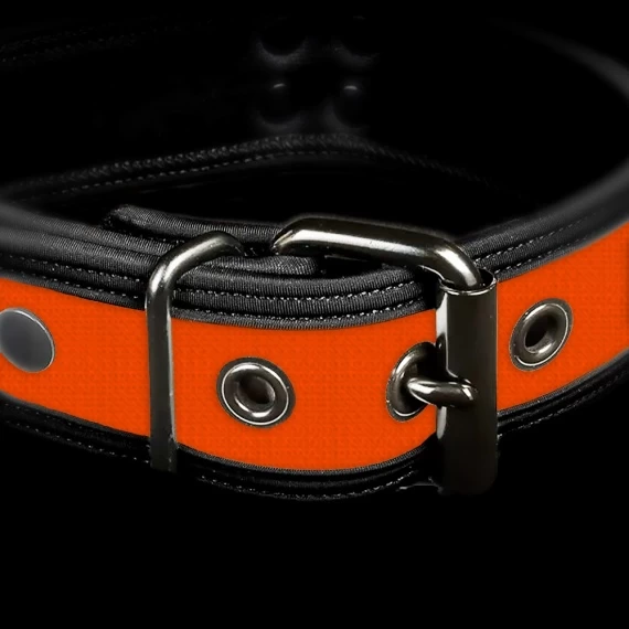 Neo Bold Puppy Collar Orange – Image 2