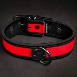 Neo Bold Puppy Collar Rouge