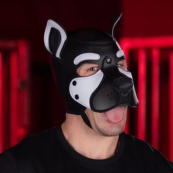 NEO FRISKY Puppy Hood Blanc