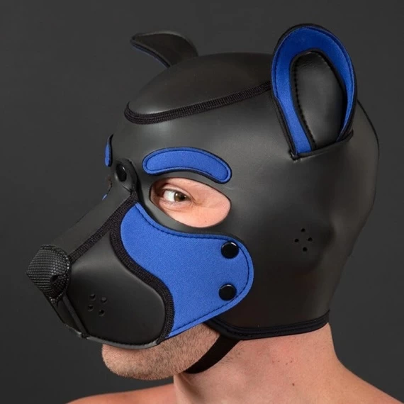 NEO FRISKY Puppy Hood Bleu Royal