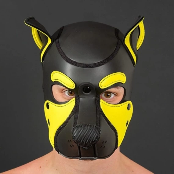 NEO FRISKY Puppy Hood Jaune – Image 2