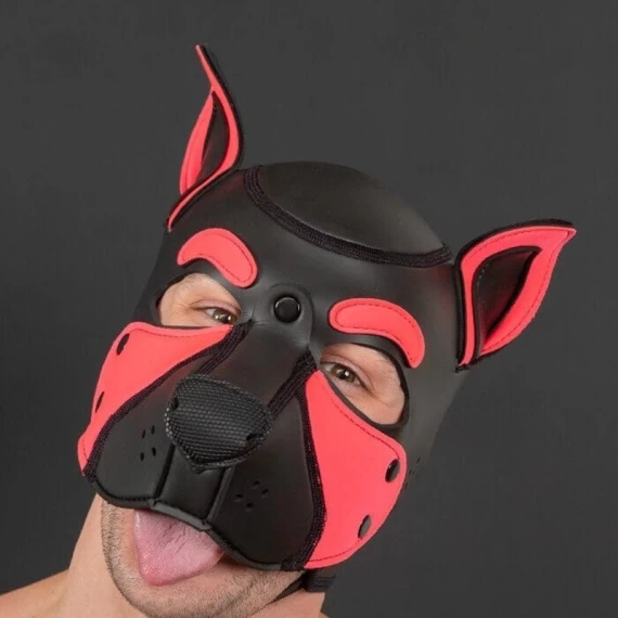 NEO FRISKY Puppy Hood Rose – Image 3