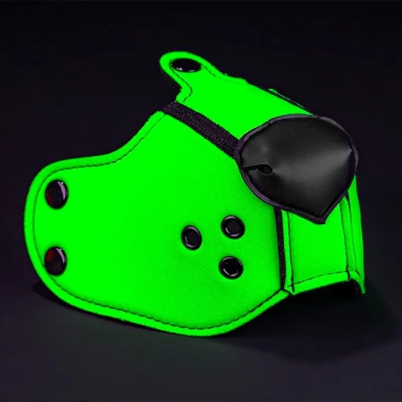 Neo K9 Muzzle + Head Harness – Image 13