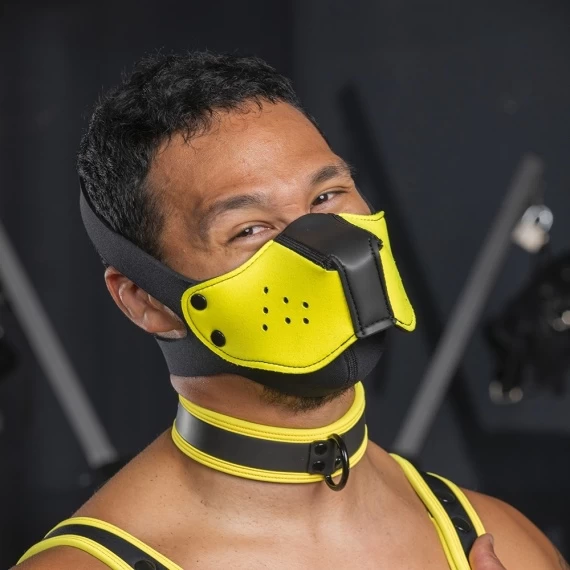 Neo K9 Muzzle + Head Harness – Image 4