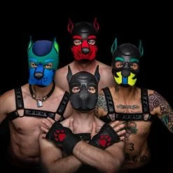 Neo K9 Puppy Hood Customisée