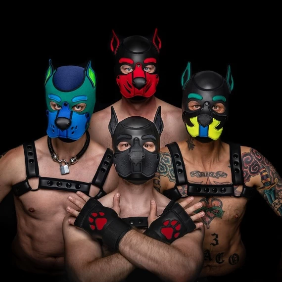 Neo K9 Puppy Hood Customisée