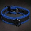 Néo Puppy Collar Noir Bleu