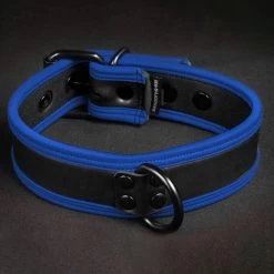 Néo Puppy Collar Noir Bleu