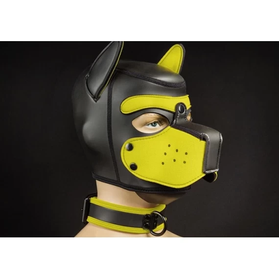 Néo Puppy Collar Noir Jaune – Image 2