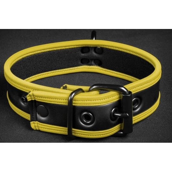 Néo Puppy Collar Noir Jaune – Image 3