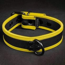 Néo Puppy Collar Noir Jaune