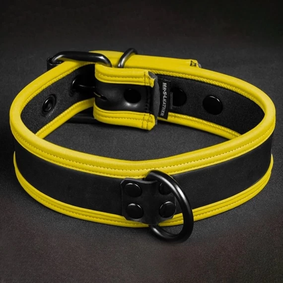 Néo Puppy Collar Noir Jaune